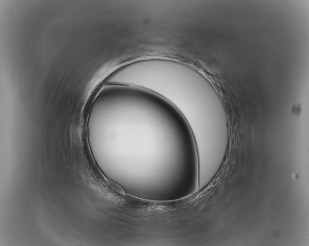 X0000089730152200706210924