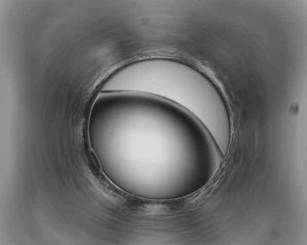 X0000089730154200706210924