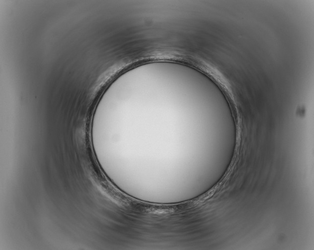 X0000089730155200706210924