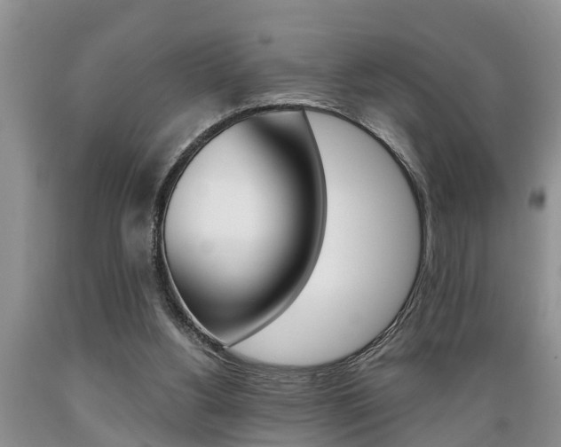X0000089730156200706210924