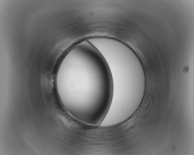 X0000089730160200706210924