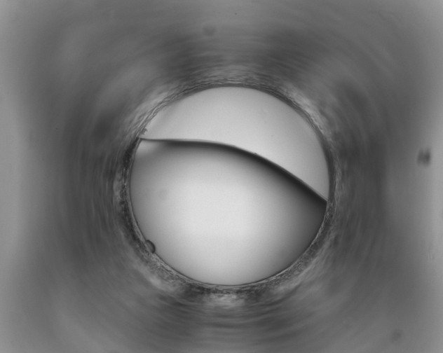 X0000089730161200706210924