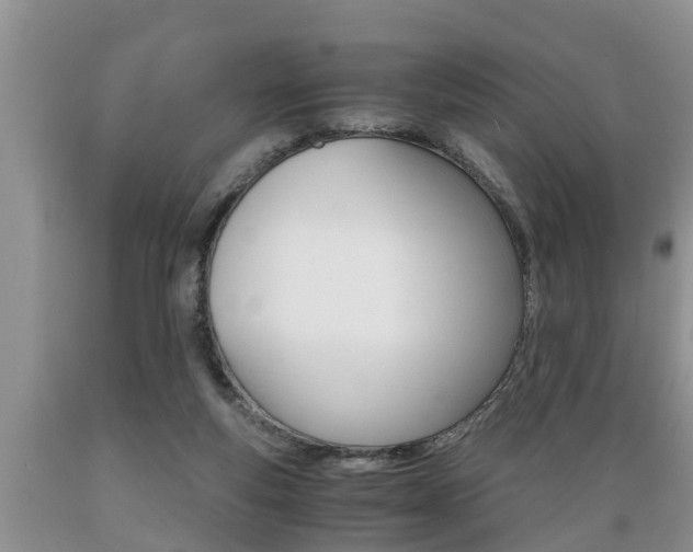X0000089730163200706210924