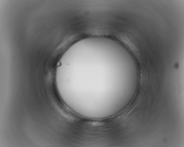 X0000089730165200706210924