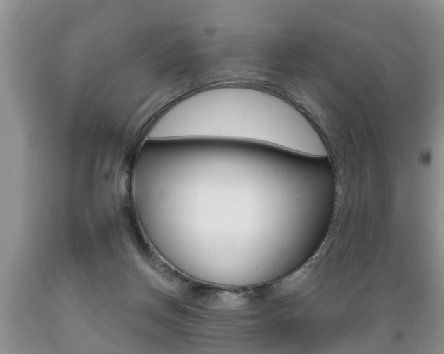 X0000089730166200706210924