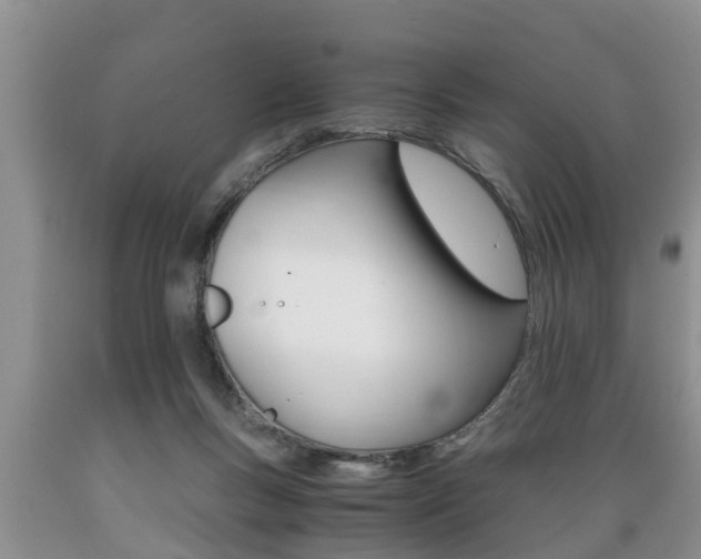 X0000089730167200706210924