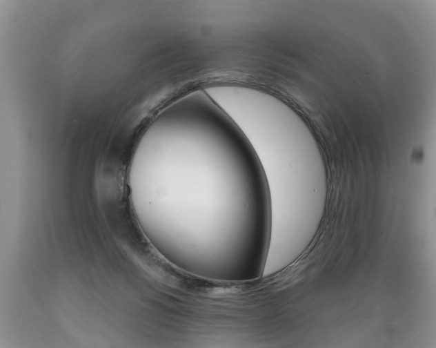 X0000089730168200706210924