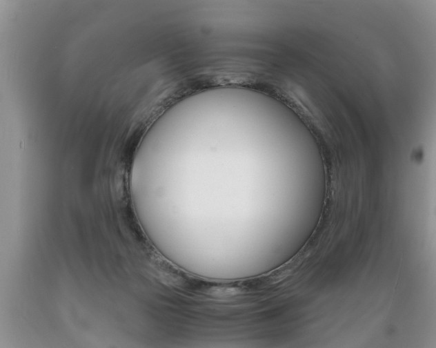 X0000089730169200706210924