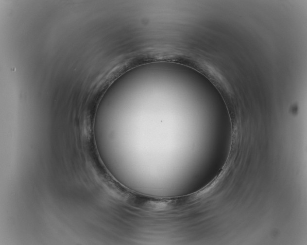 X0000089730170200706210924