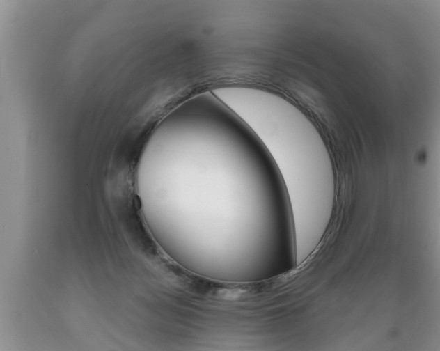X0000089730172200706210924