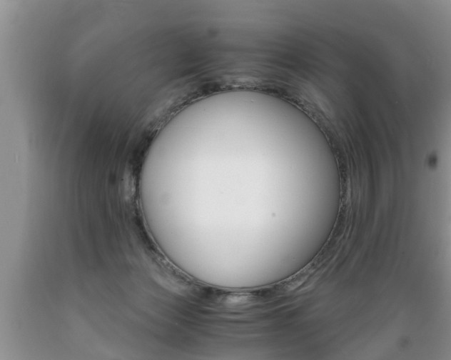 X0000089730173200706210924