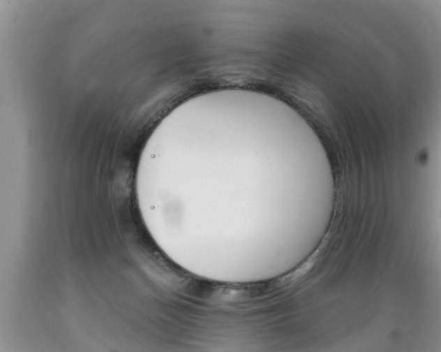 X0000089730174200706210924