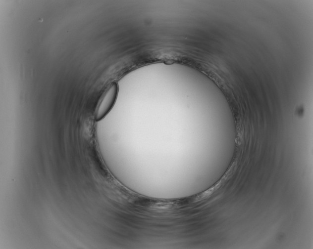 X0000089730175200706210924