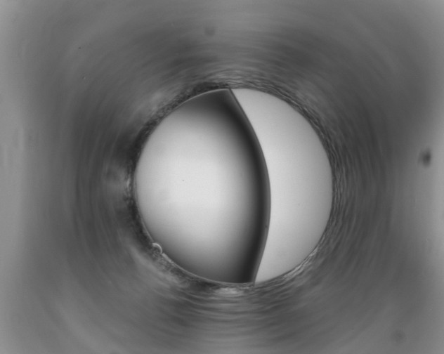 X0000089730176200706210924