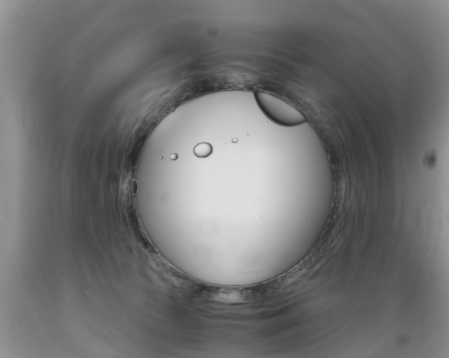 X0000089730177200706210924