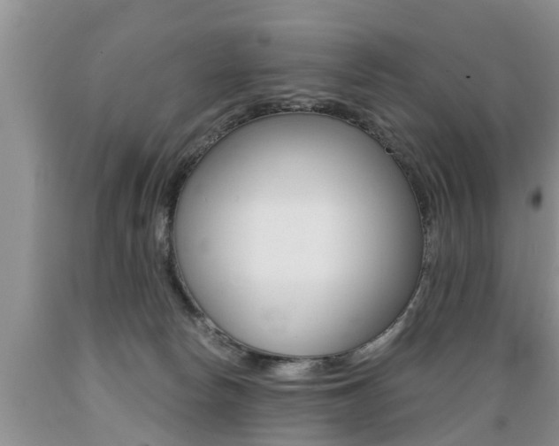 X0000089730178200706210924