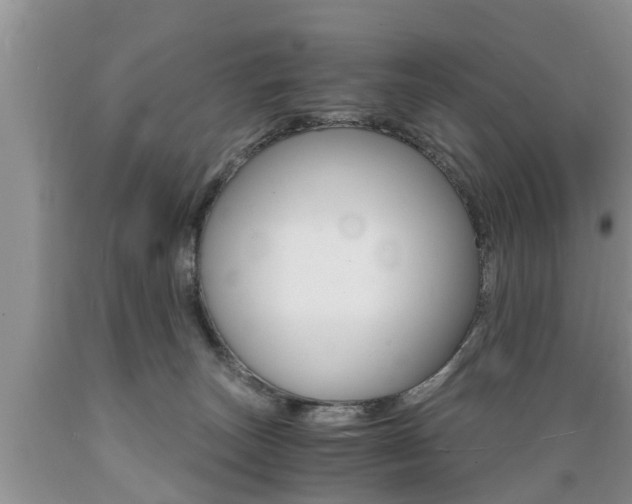 X0000089730179200706210924