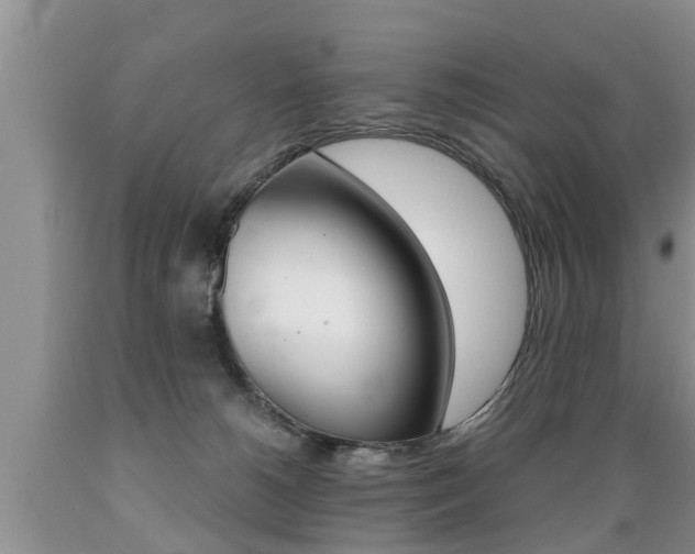 X0000089730180200706210924