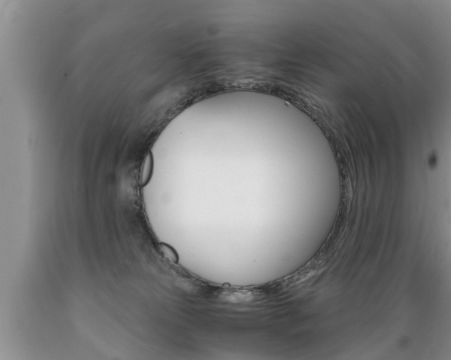 X0000089730181200706210924