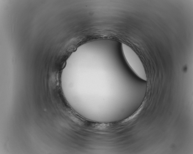 X0000089730182200706210924