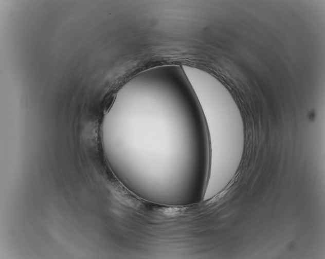 X0000089730184200706210924