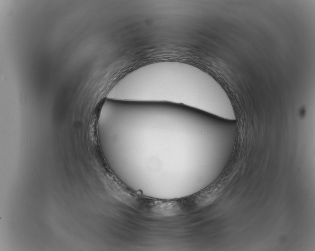 X0000089730185200706210925