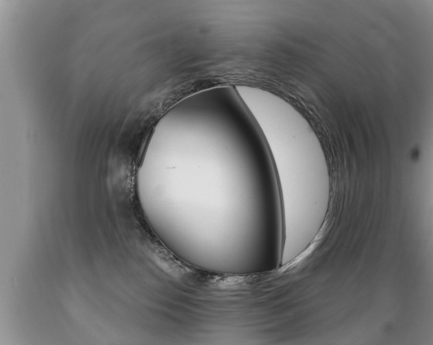 X0000089730186200706210925