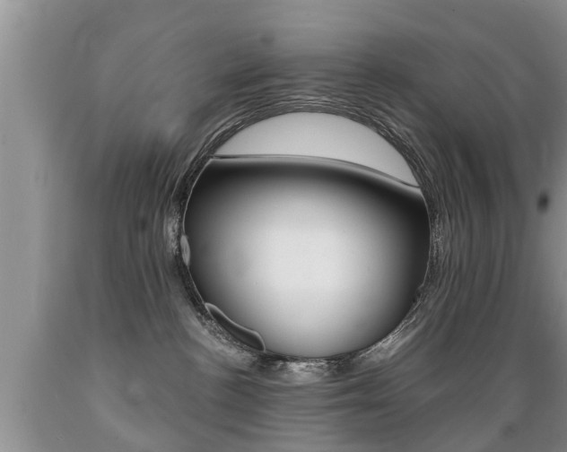 X0000089730188200706210925