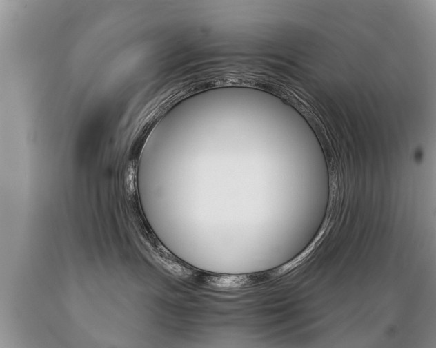 X0000089730191200706210925