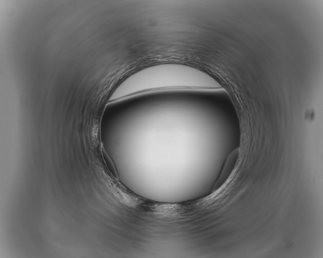 X0000089730192200706210925