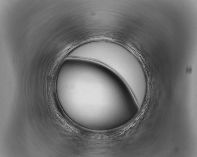 X0000089730193200706210924