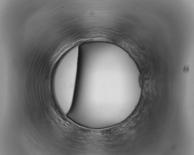 X0000089730194200706210924