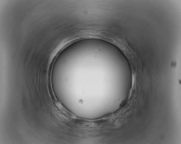 X0000089730195200706210924