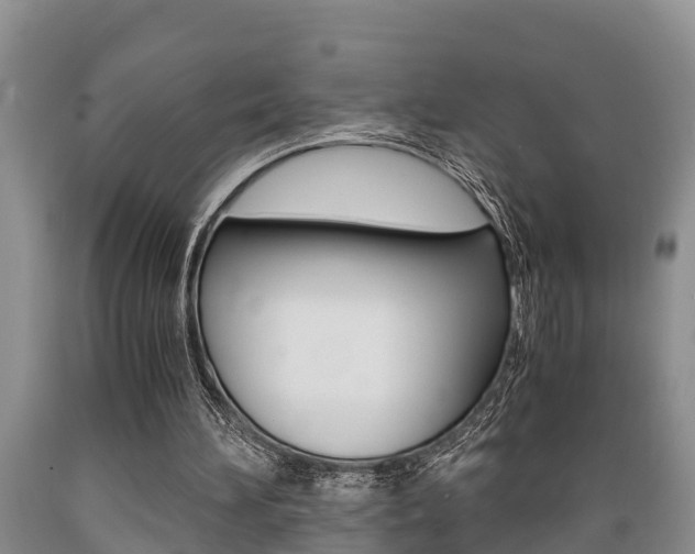 X0000089730196200706210924