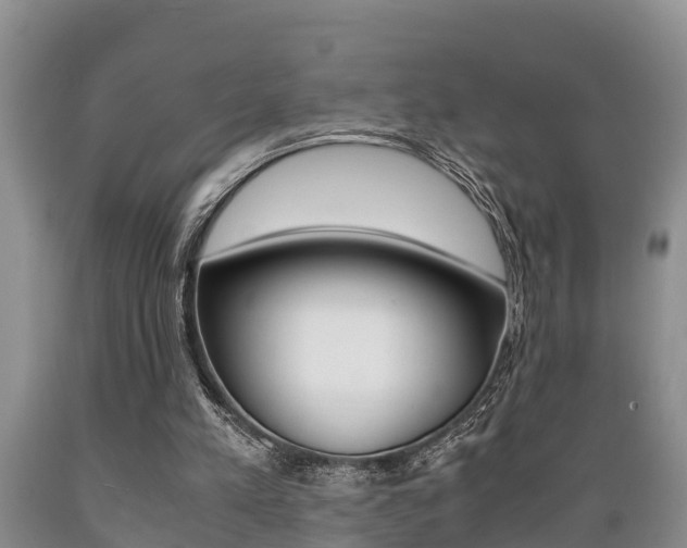 X0000089730197200706210924