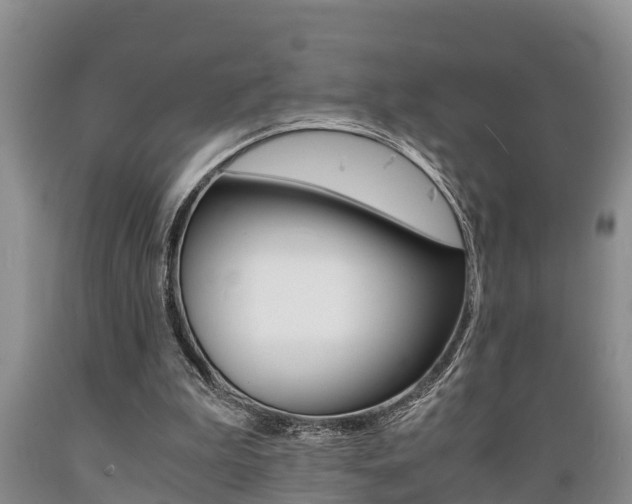 X0000089730199200706210924