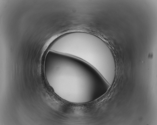 X0000089730200200706210924