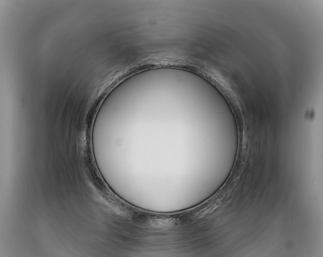 X0000089730202200706210924