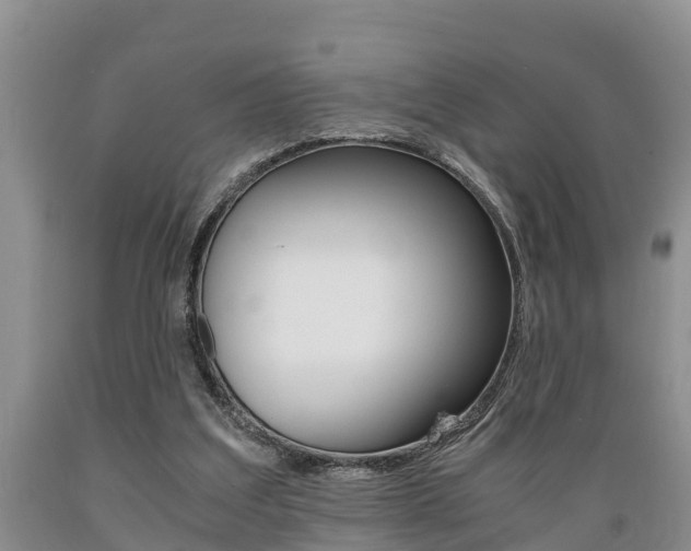 X0000089730203200706210924