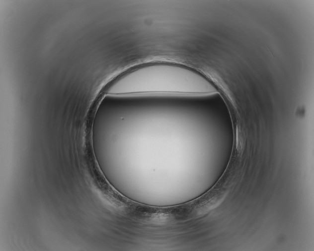X0000089730204200706210924