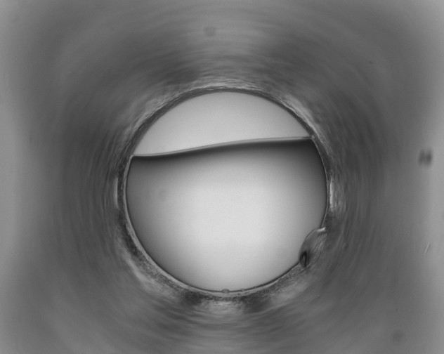 X0000089730205200706210924