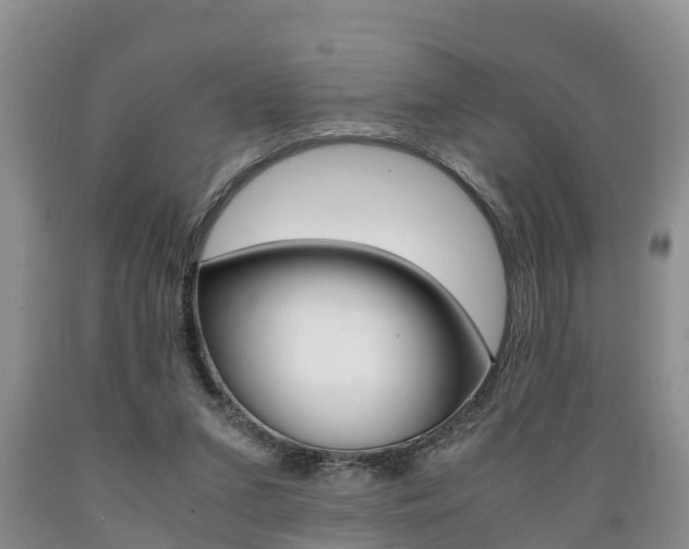 X0000089730207200706210924