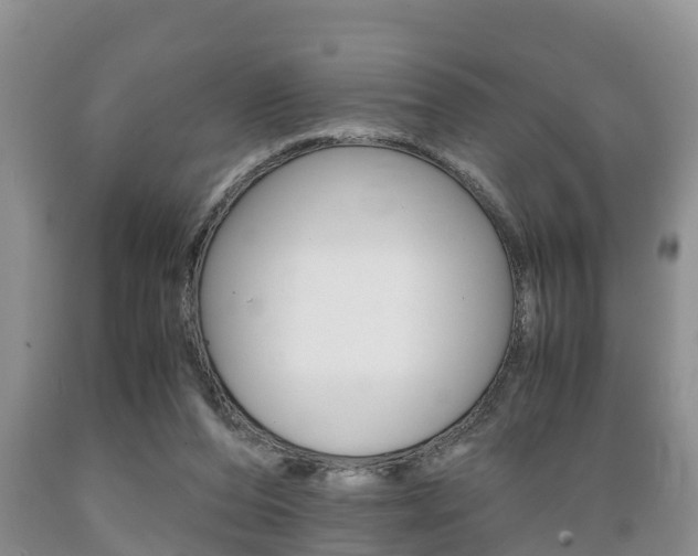 X0000089730208200706210924