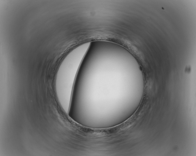 X0000089730209200706210924
