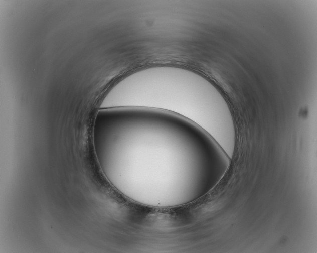 X0000089730211200706210924
