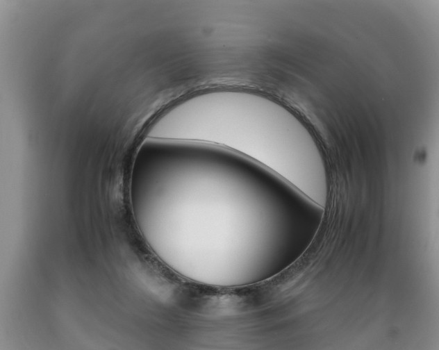 X0000089730212200706210924