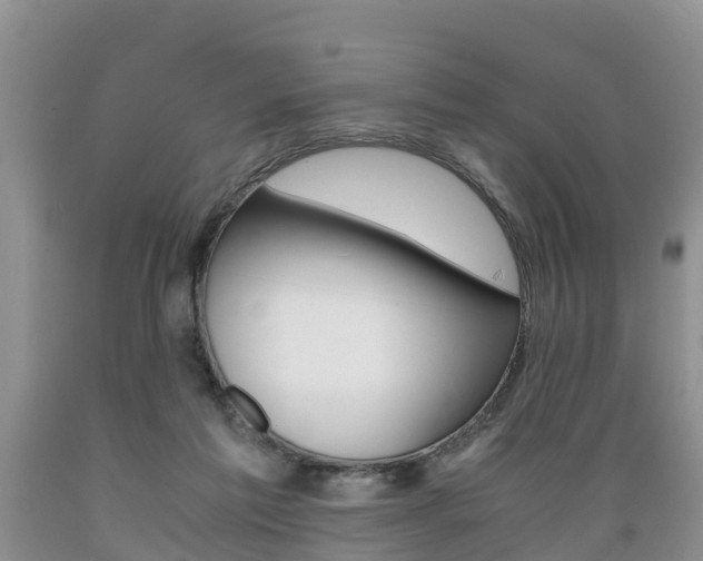X0000089730213200706210924