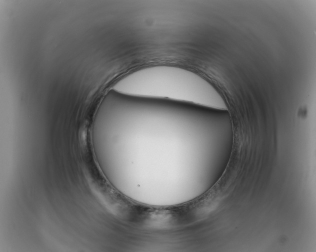 X0000089730214200706210923