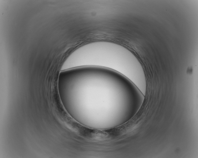 X0000089730215200706210923