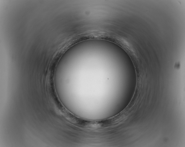 X0000089730217200706210923